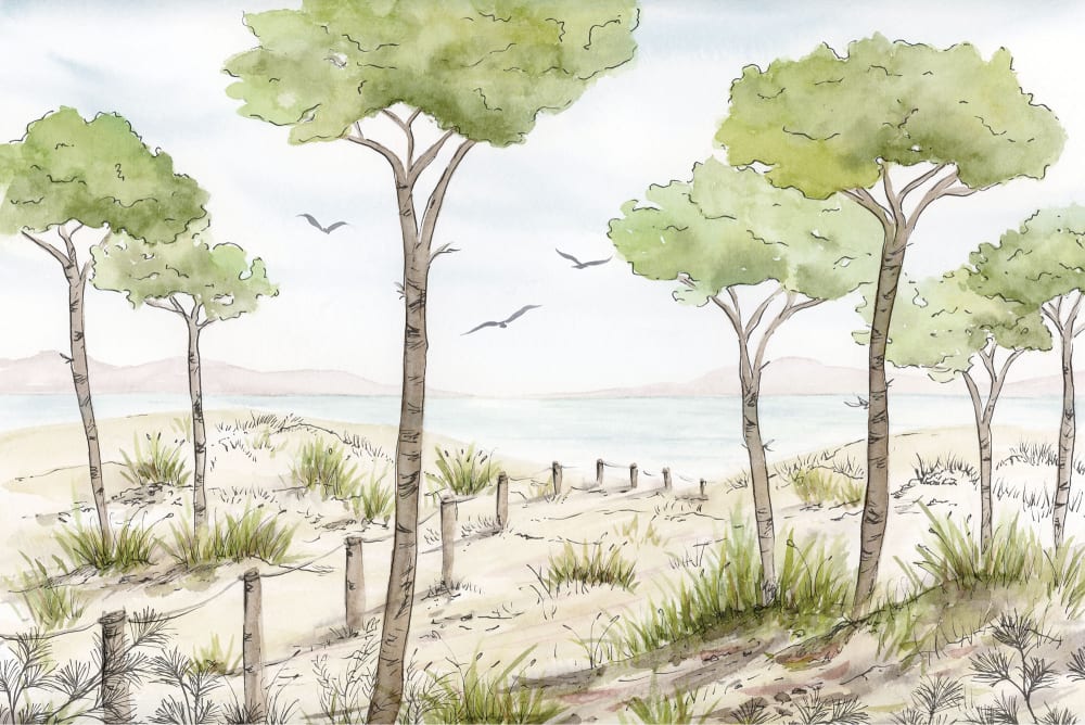 Papier peint panoramique Paysage vue des pins, Couleurs 300