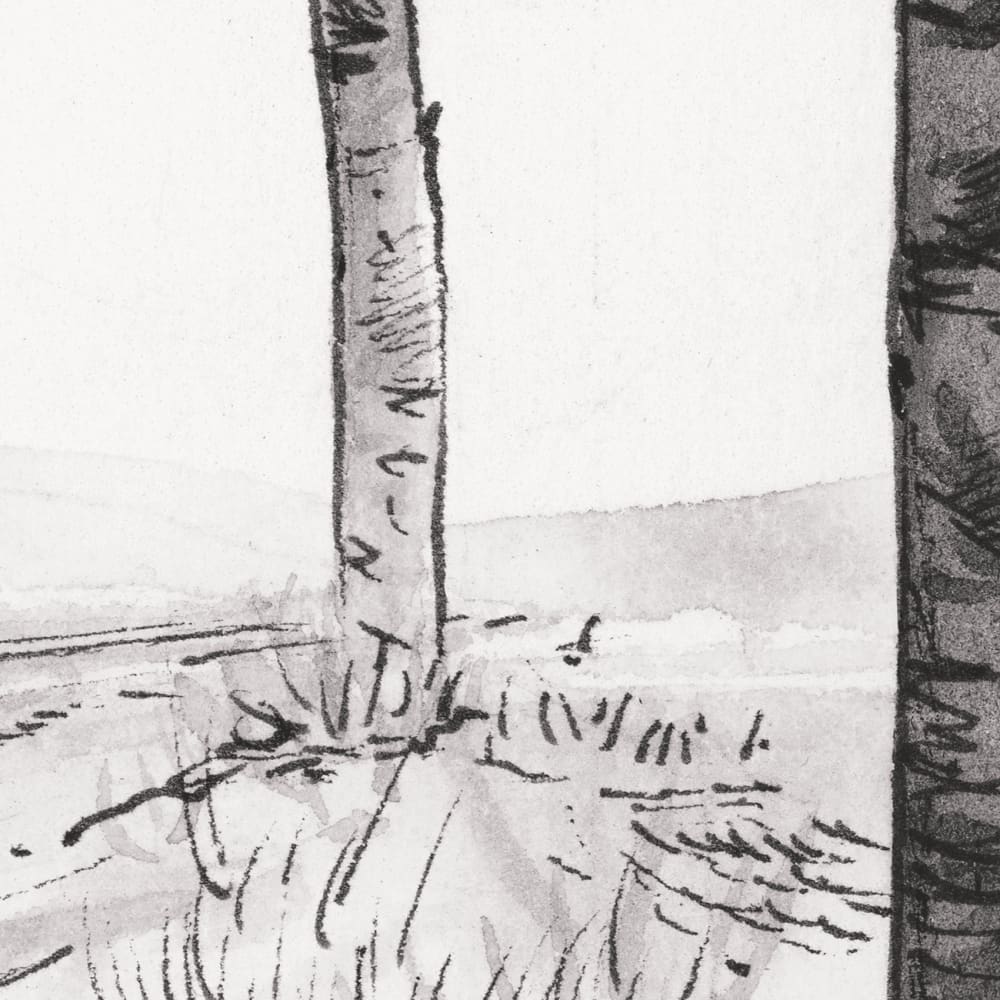 Papier peint paysage forêt de bouleau, noir et blanc 375 x — vue 4