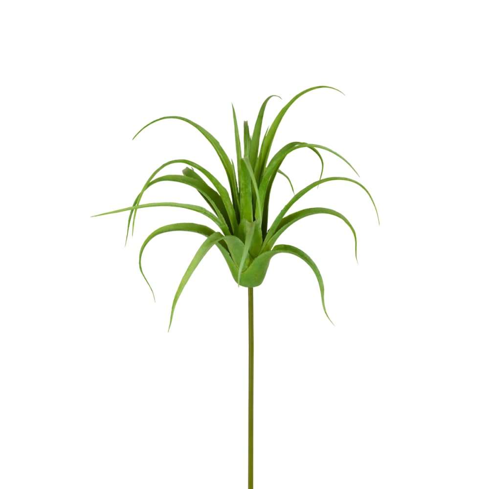 Sia Deco Tige de tillsandia artificielle verte h20 style contemporain - Pvc - Poly Chlorure De Vinyle
