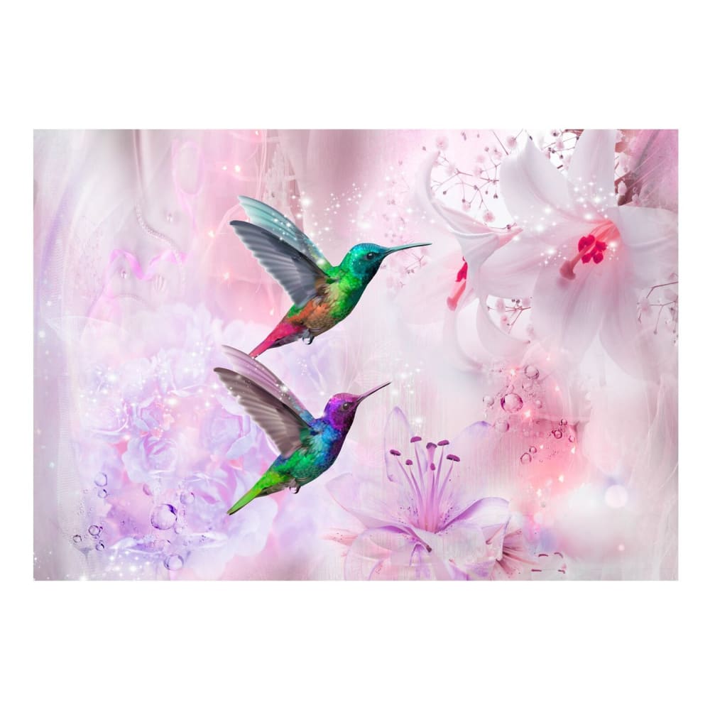 Papier peint colibris