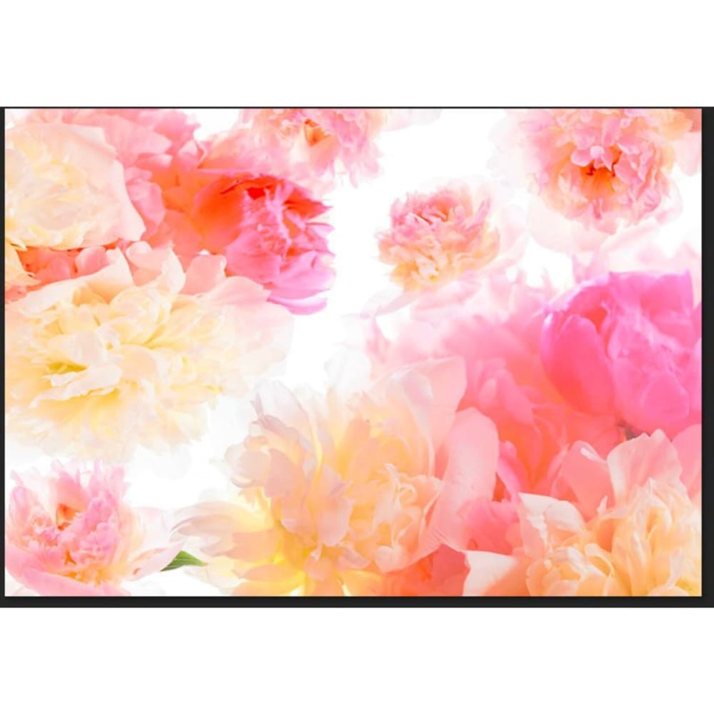 Papier peint pivoines - 280