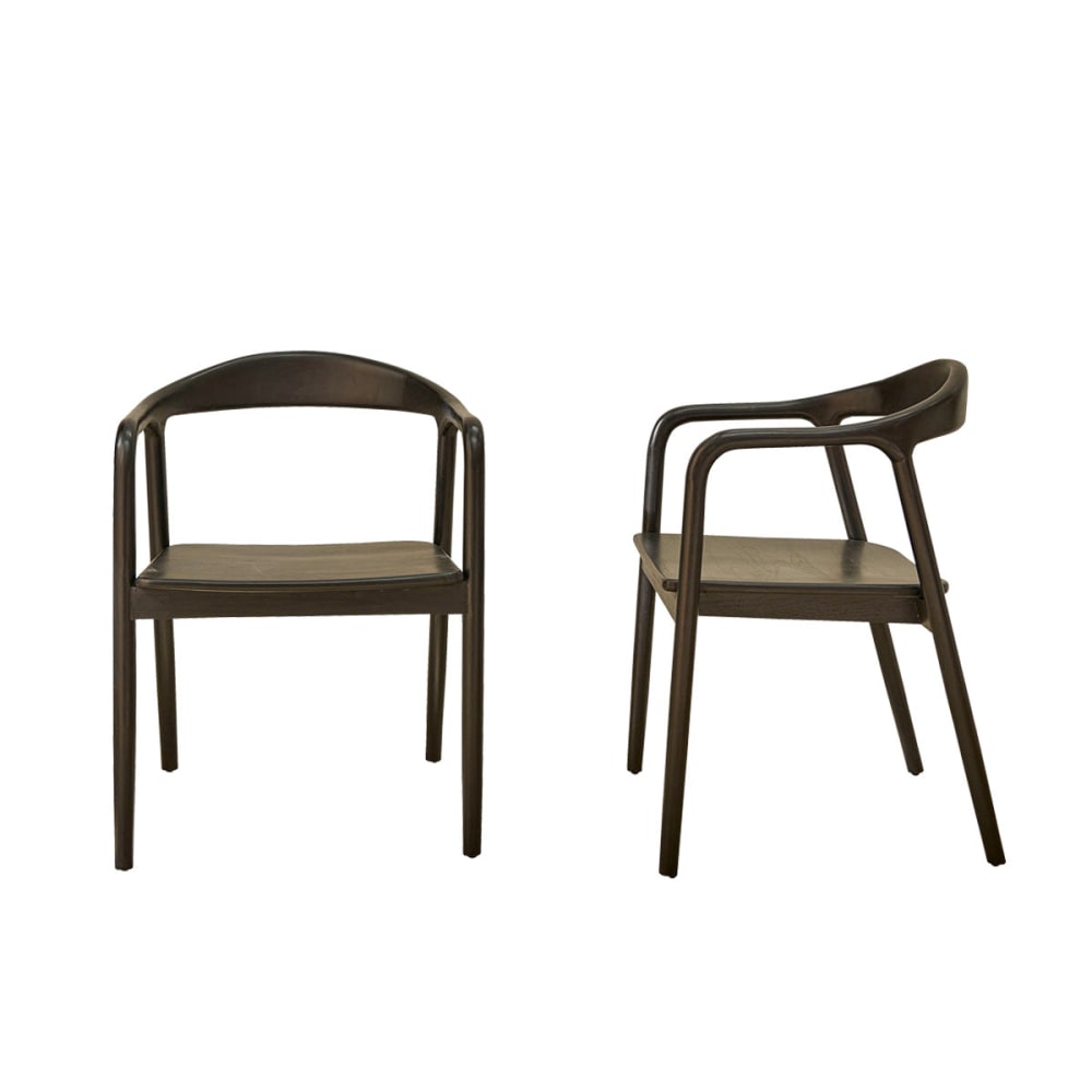 Lot de 2 chaises en teck