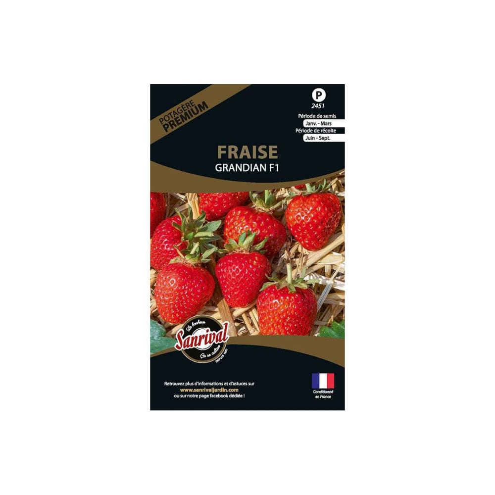Graines potagères premium fraise grandian