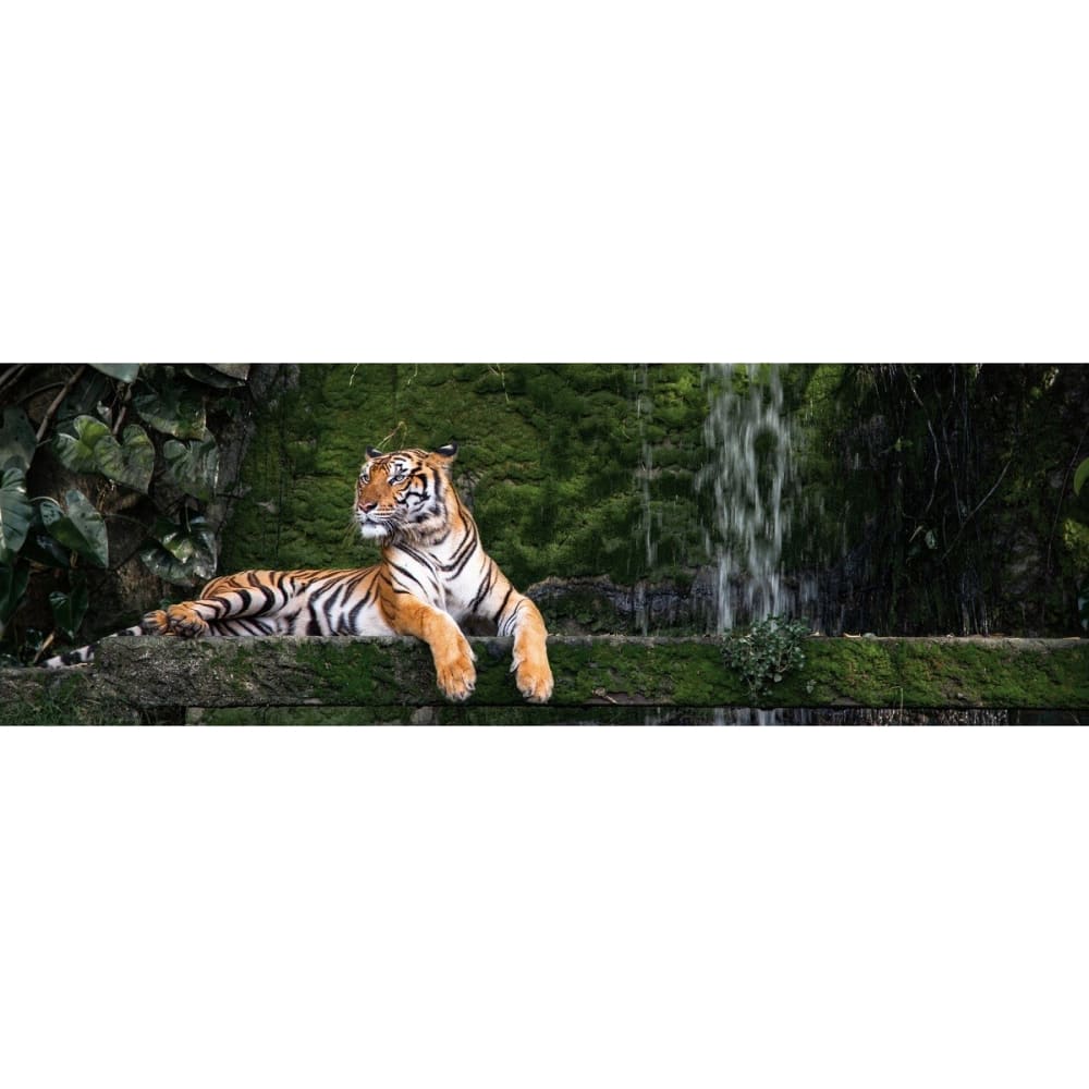Tableau sur toile tigre du bengale 30x97