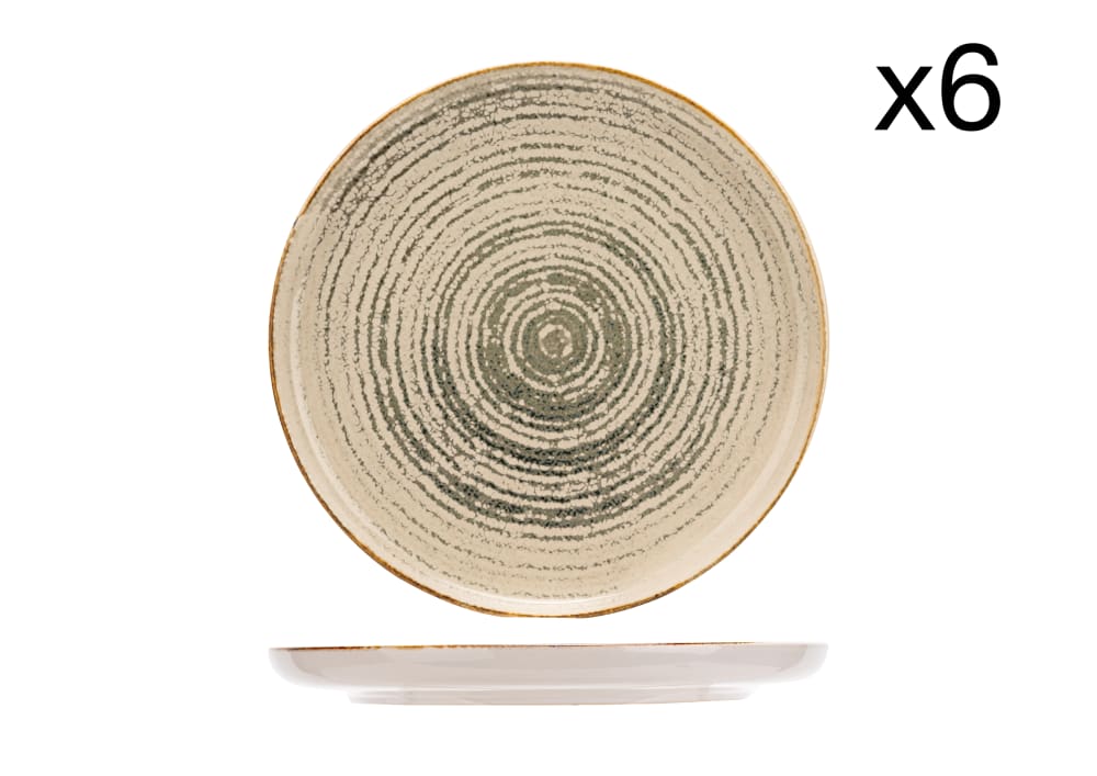 Lot de 6 assiettes plates