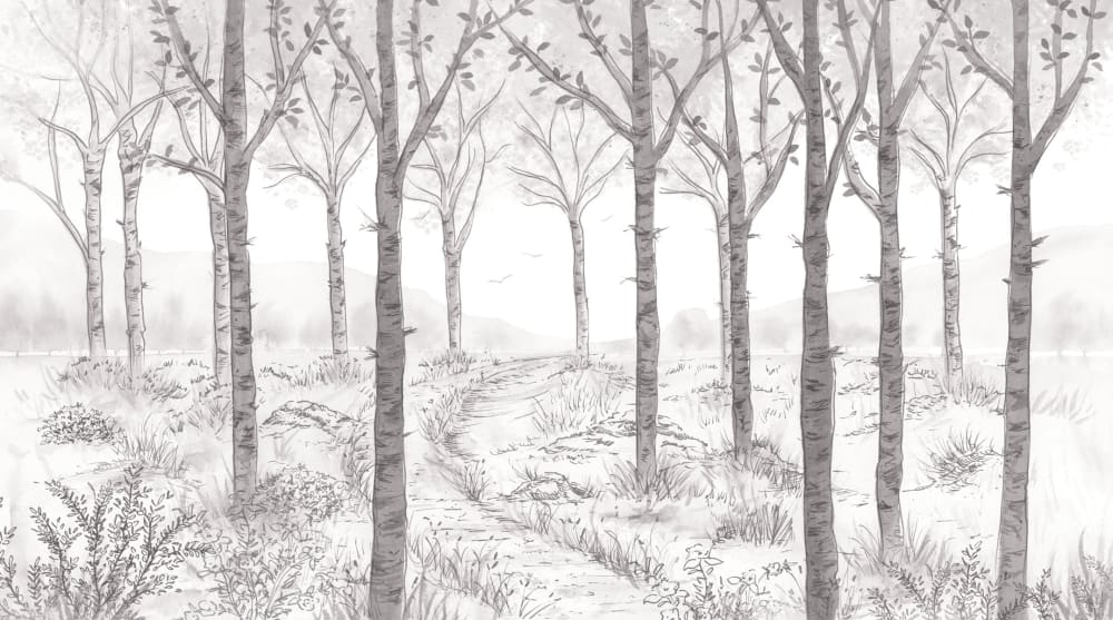 Papier peint paysage forêt de bouleau, gris 225 x 250cm — vue 3