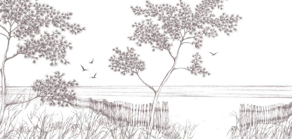 Papier peint balade en bord de mer, brun 450 x 250cm — vue 3