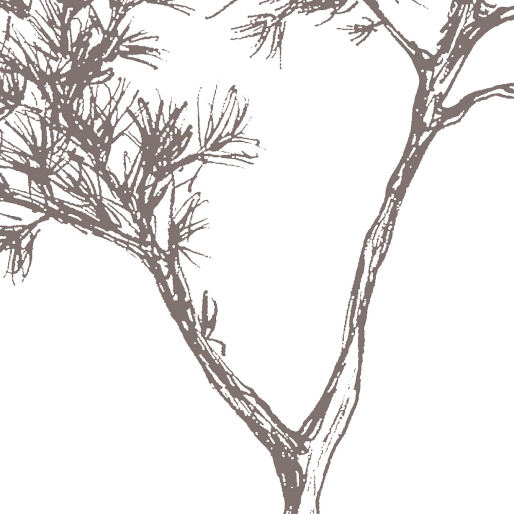 Papier peint balade en bord de mer, brun 450 x 250cm — vue 4