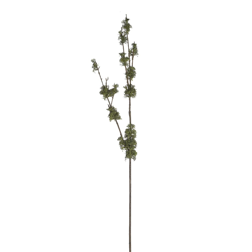 Sia Deco Zweig mit Kunstmoos H126, Grün style modern Grün Pvc - Polyvinlychlorid