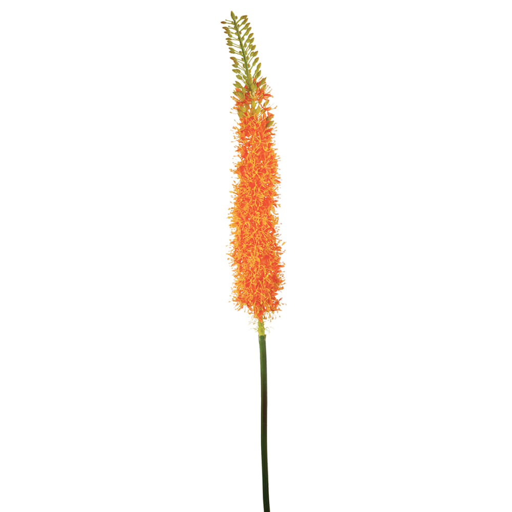 Sia Deco Künstlicher Steppenlilienstiel H125, Orange style modern orange Pes - Polyester