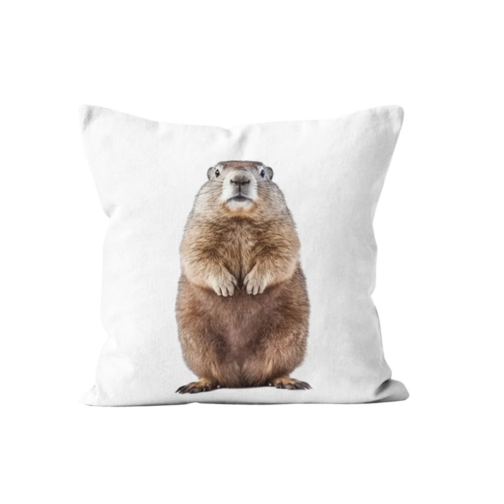 Coussin déco animal marmotte velours 40x40cm