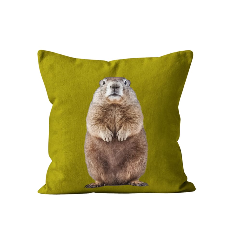 Coussin déco animal marmotte vert velours 40x40cm