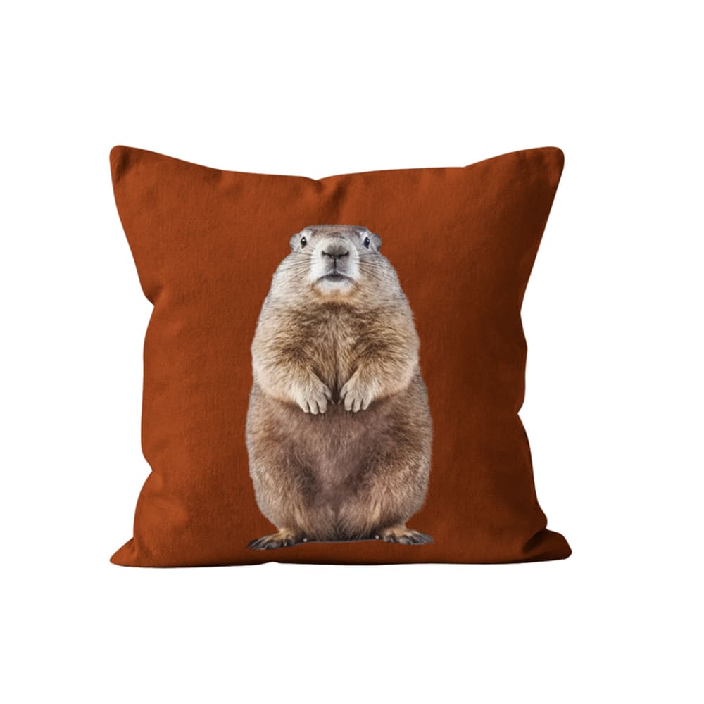 Coussin déco animal marmotte rouge grenat velours 40x40cm