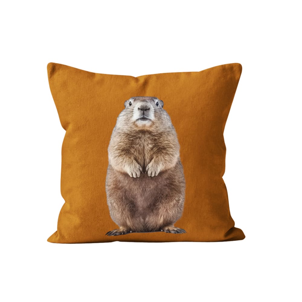 Coussin déco animal marmotte velours orange rouille 40x40cm