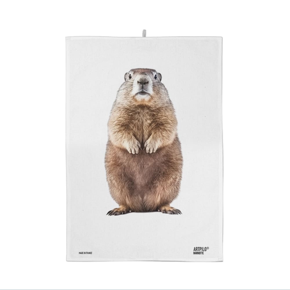 Torchon style montagne 100% coton blanc