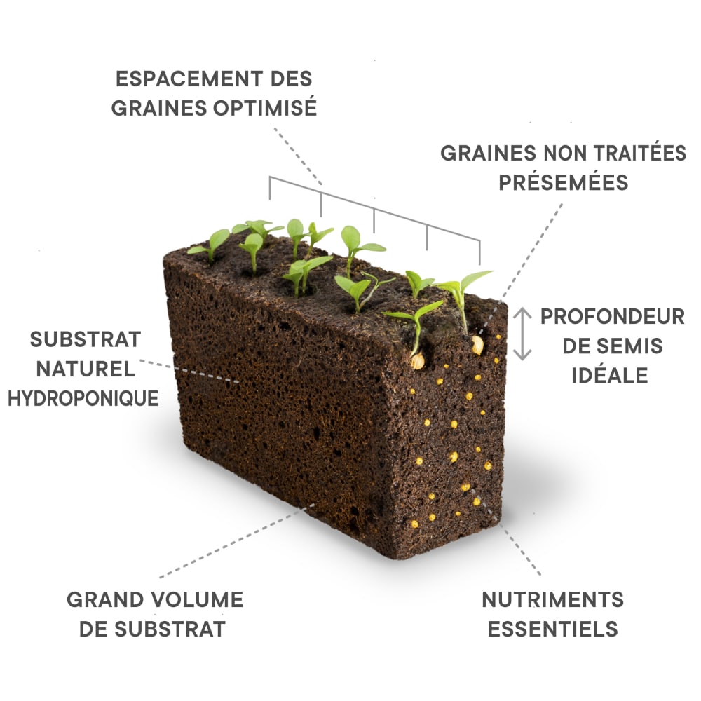 Lingot Basilic Mammouth - Recharge prête à l'emploi — vue 4