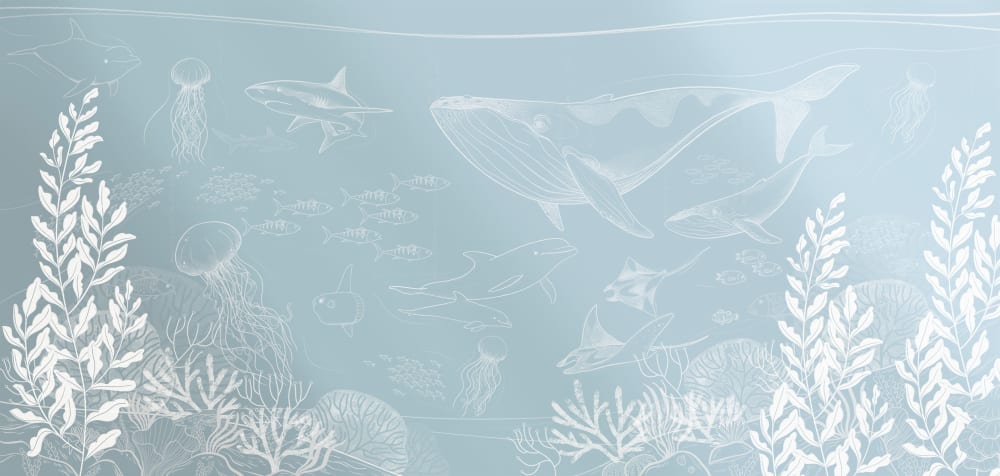 Papier peint enfant océan, bleu ciel 375 x 250cm - Maisons du Monde