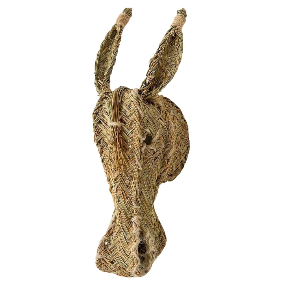 Tête d'âne en sparte,