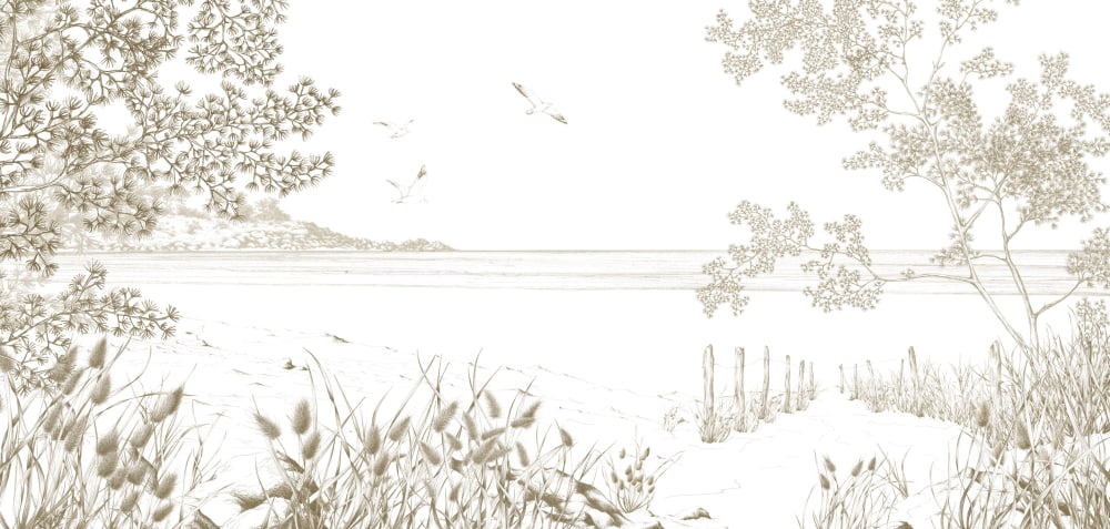 Papier peint côtes sauvages, brun 300 x 250cm — vue 3
