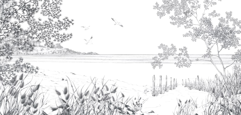 Papier peint côtes sauvages, noir et blanc 525 x 250cm — vue 3