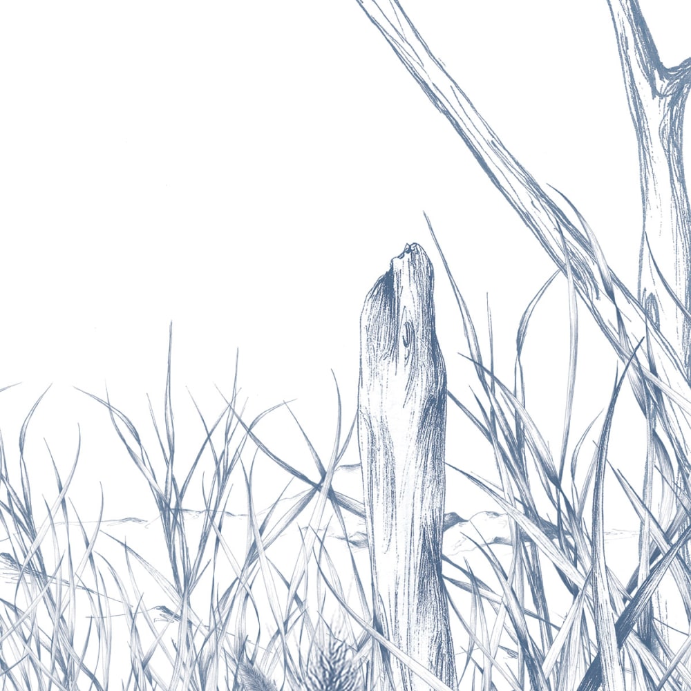 Papier peint côtes sauvages, bleu 450 x 250cm — vue 4