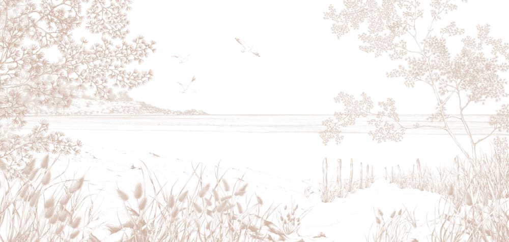 Papier peint côtes sauvages, beige 375 x 250cm — vue 3