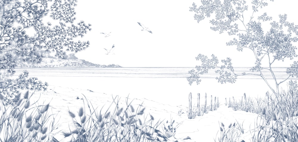 Papier peint côtes sauvages, bleu 300 x 250cm — vue 3