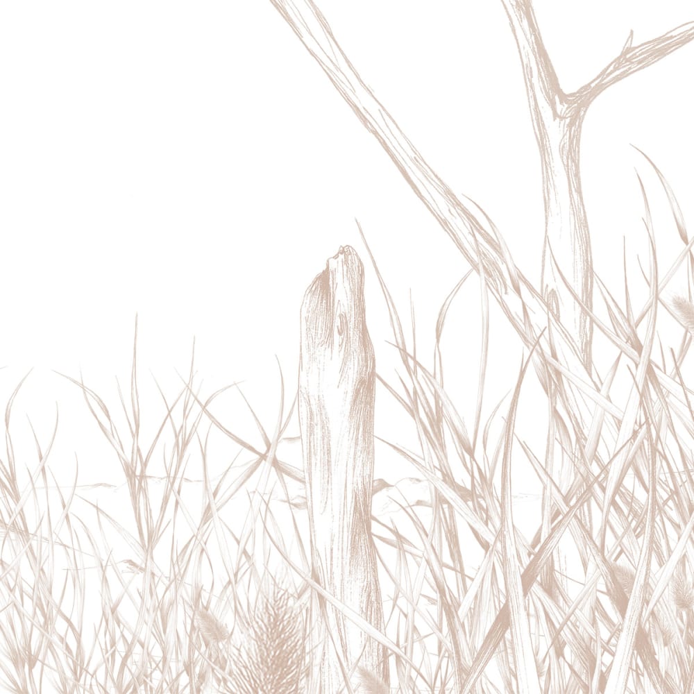 Papier peint côtes sauvages, beige 300 x 250cm — vue 4