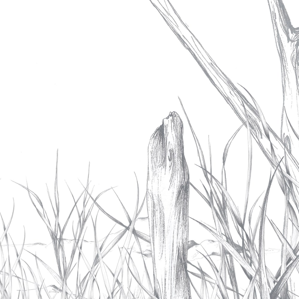 Papier peint côtes sauvages, gris 525 x 250cm — vue 4