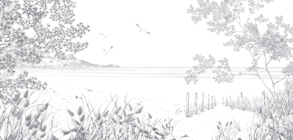 Papier peint côtes sauvages, gris 300 x 250cm — vue 3