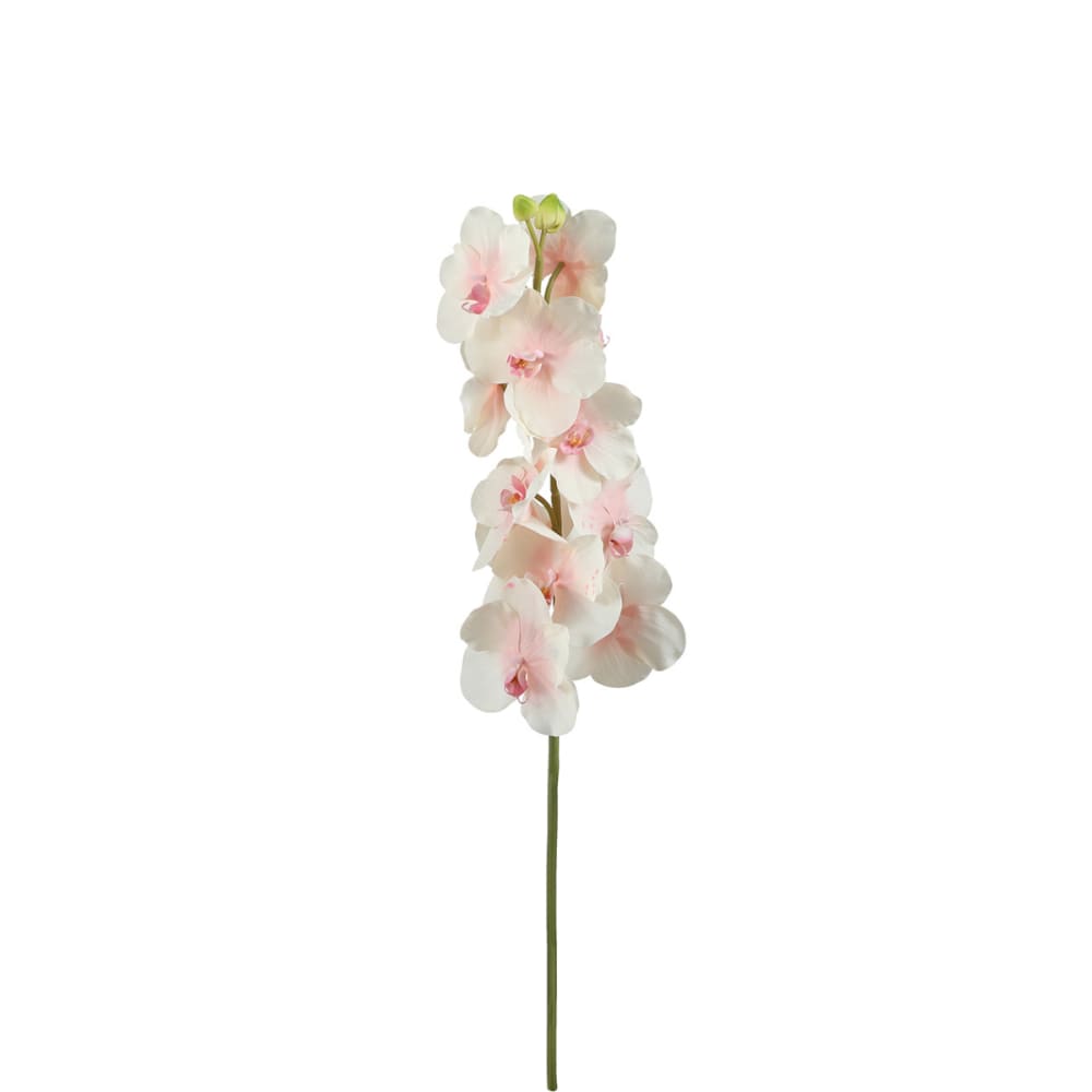 Sia Deco Künstlicher Bandailan-Orchideen-Stiel H66, Rosa und Weiß style modern Rosa Pes - Polyester