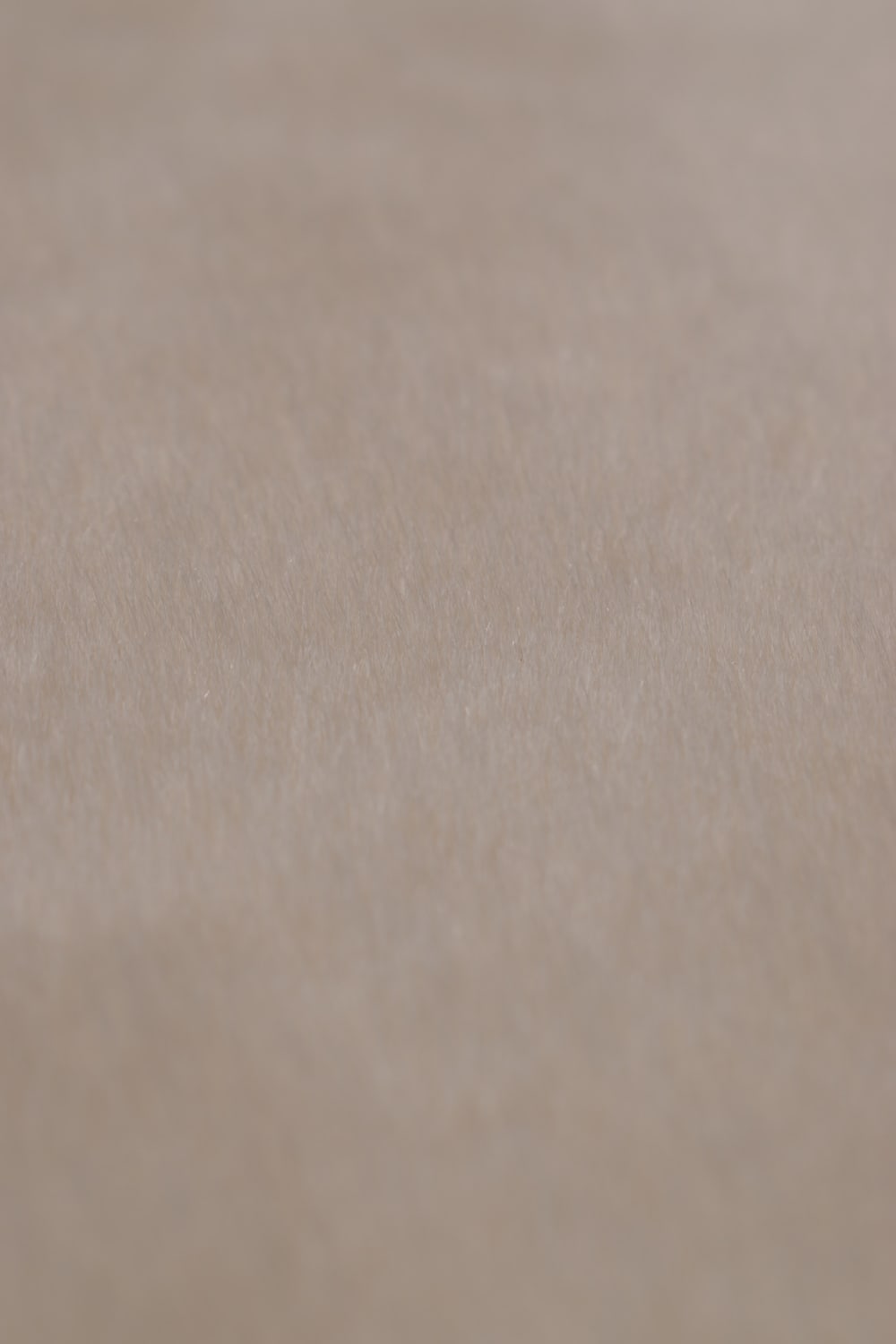 Tapis uni à poils longs et doux lavable  - Beige - 80x150 cm