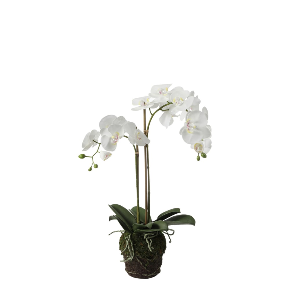 Orchidée artificielle - terre