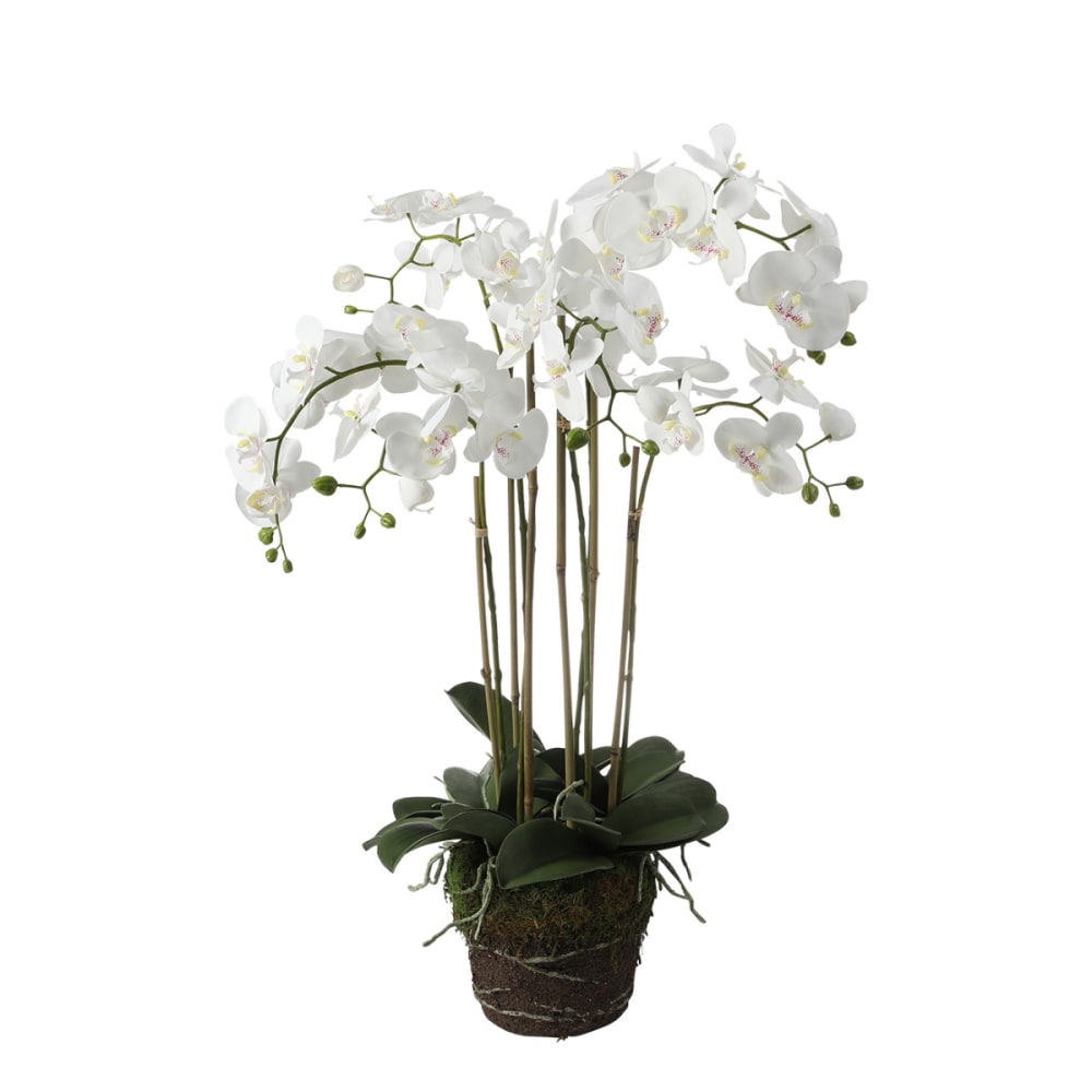 Orquídea artificial en tierra blanca H85