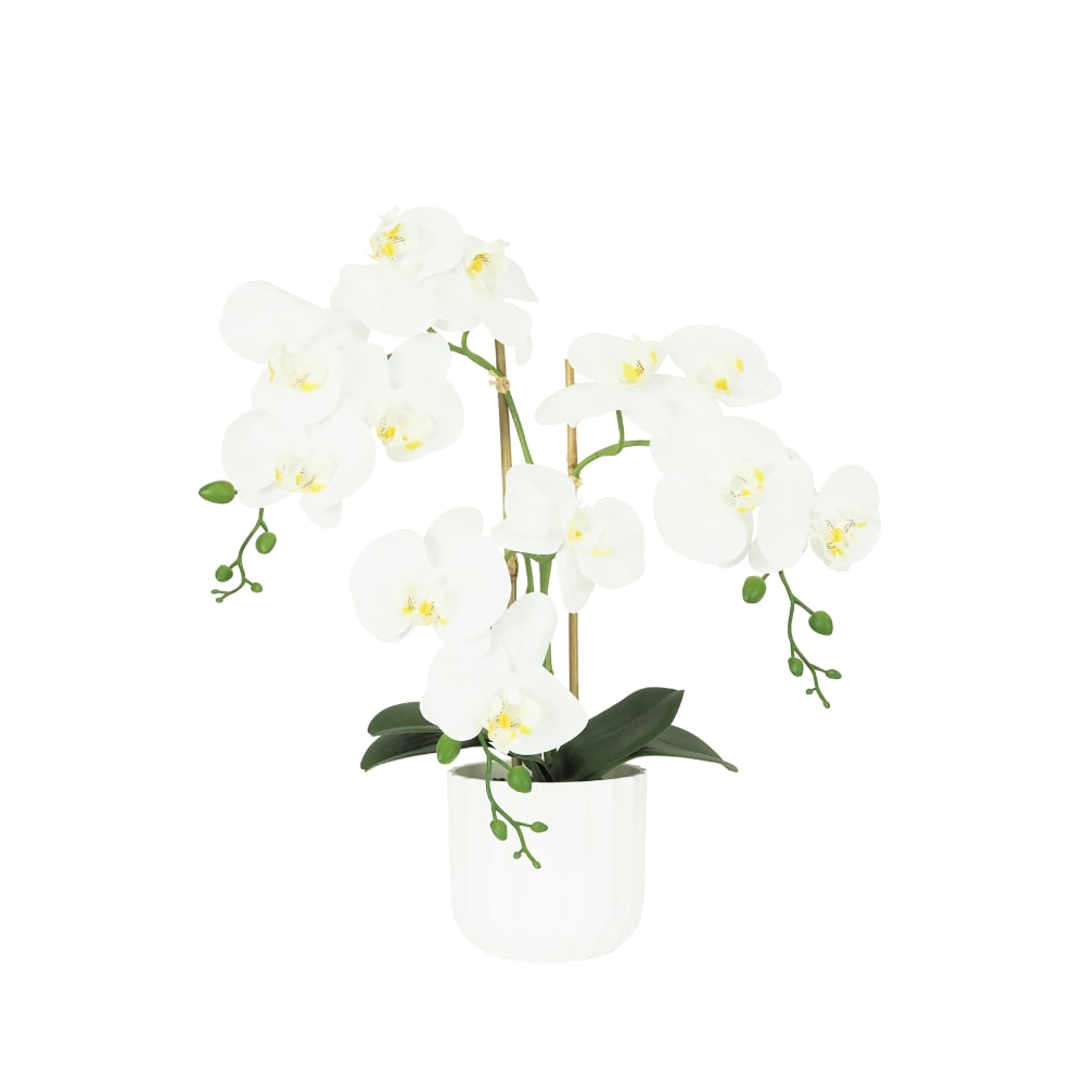 Orchidée artificielle toucher réel blanc 52cm - Maisons du Monde