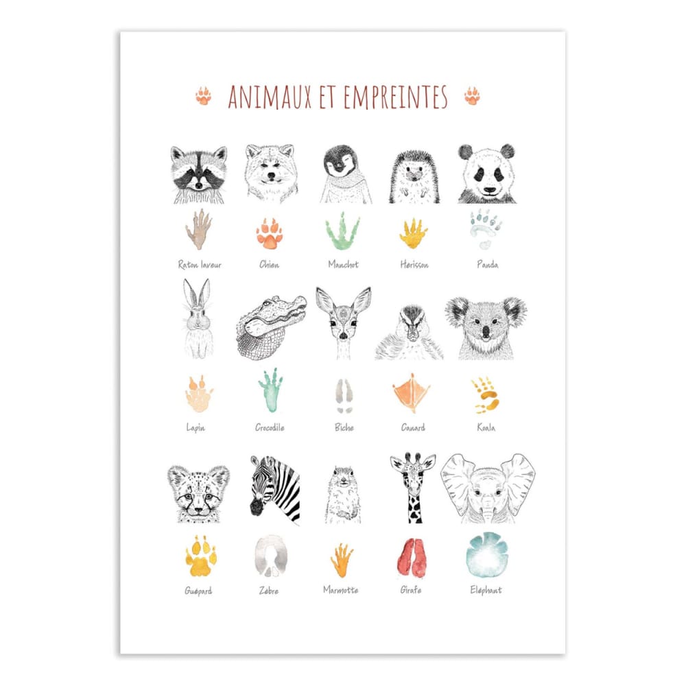 Wall Editions ANIMAUX ET EMPREINTES - LES LOULOUS - Affiche d'art enfant 50 x 70 cm style contemporain Multicolore Papier - 50x70x0cm