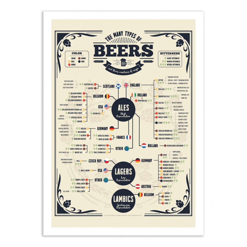 Affiche 30x40 cm - Beer types of the world - Frog Posters