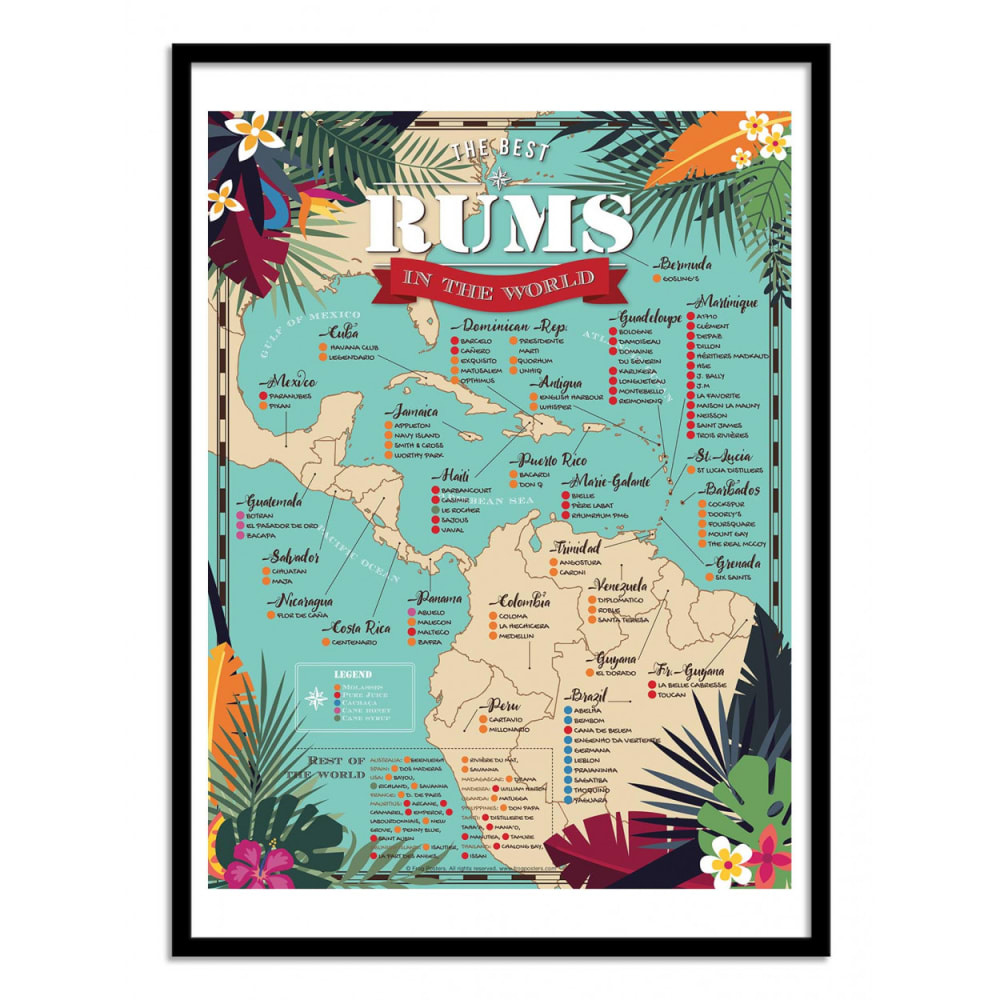 Affiche 30x40 cm et cadre noir - Best rums in the world - Frog Poster