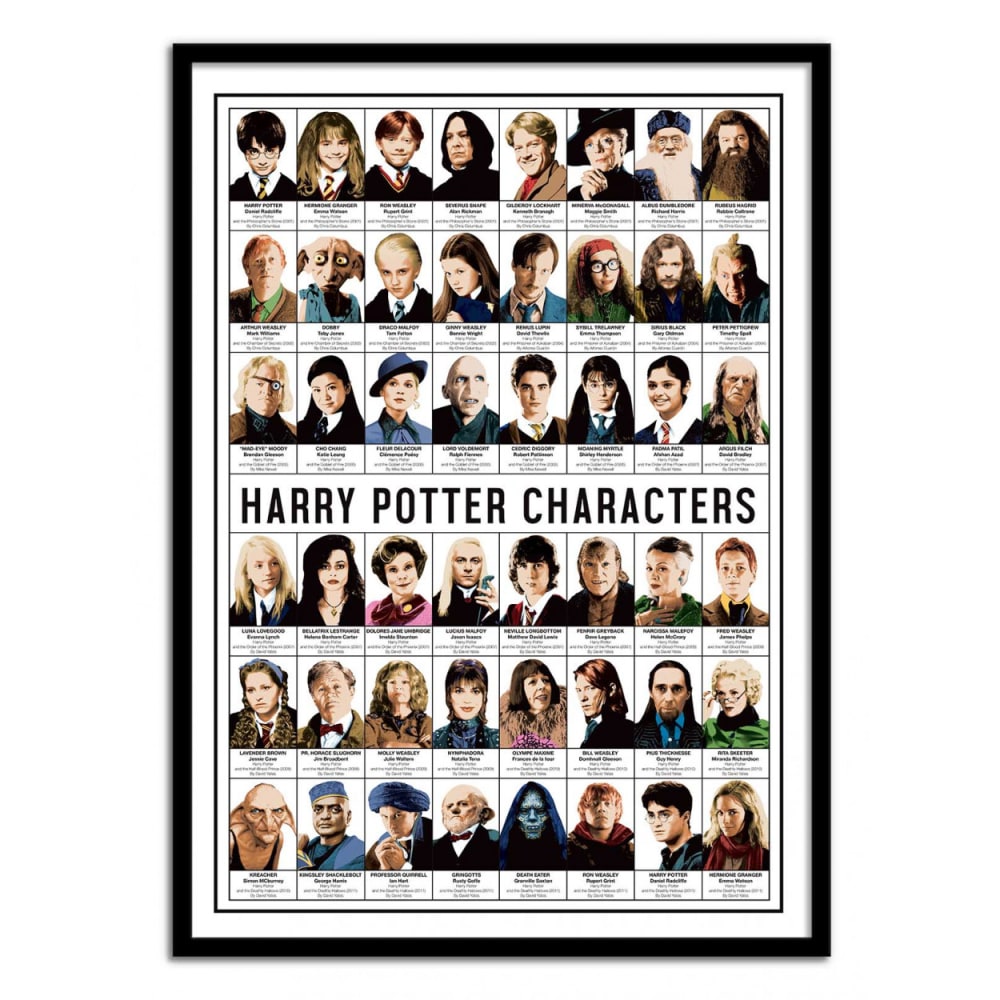 Affiche 50x70 cm - Harry Potter Characters - Olivier Bourdereau - Maisons du Monde
