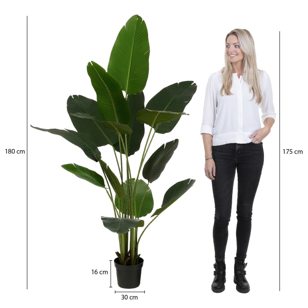 Plante artificielle Vert Plastique H180xl30xL30cm