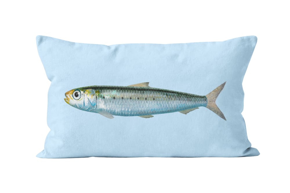 Coussin déco mer velours bleu