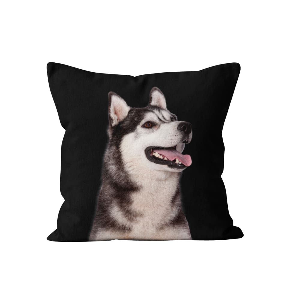 Coussin imprimé chien husky velours noir