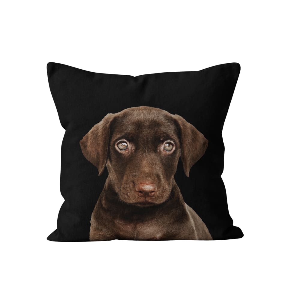 Coussin chien labrador velours noir