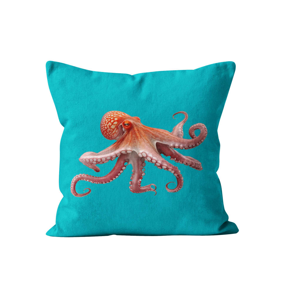 Coussin déco mer velours bleu