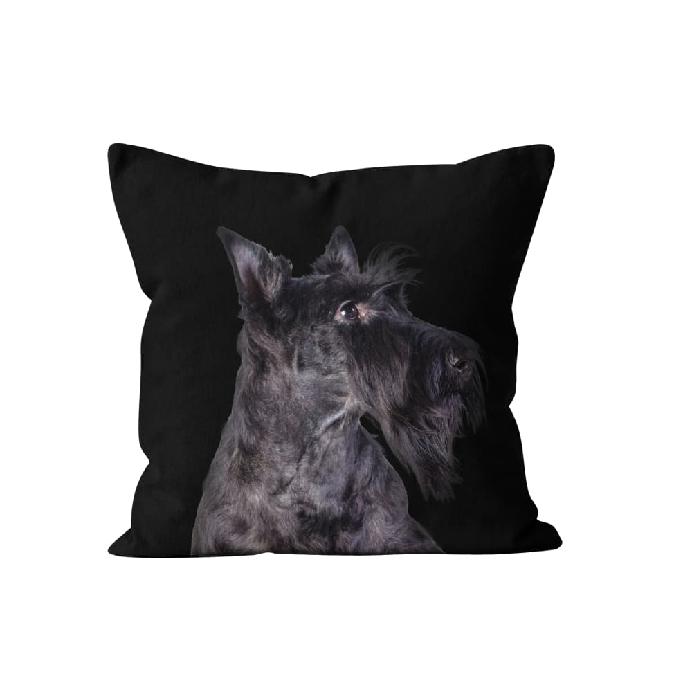 Coussin déco chien velours noir