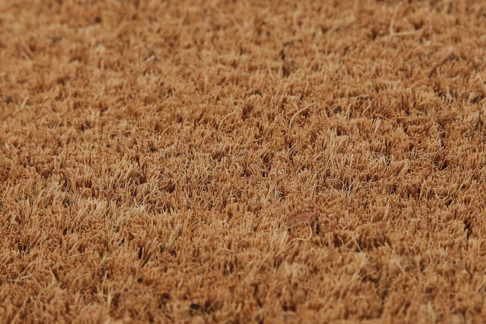 Paillasson tapis d'entrée coloris coco naturel 45x75 — vue 4