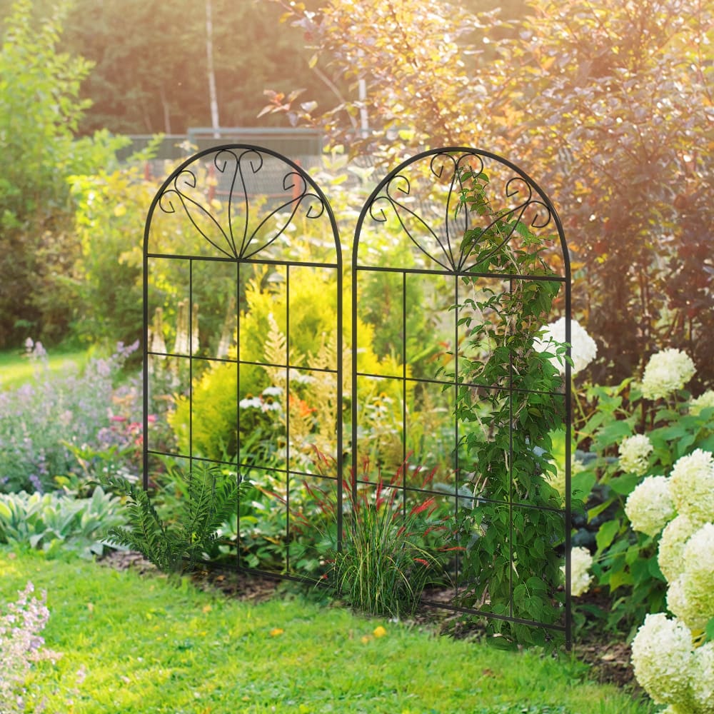 Treillis de jardin lot de 2 supports plantes grimpantes métal noir - Maisons du Monde
