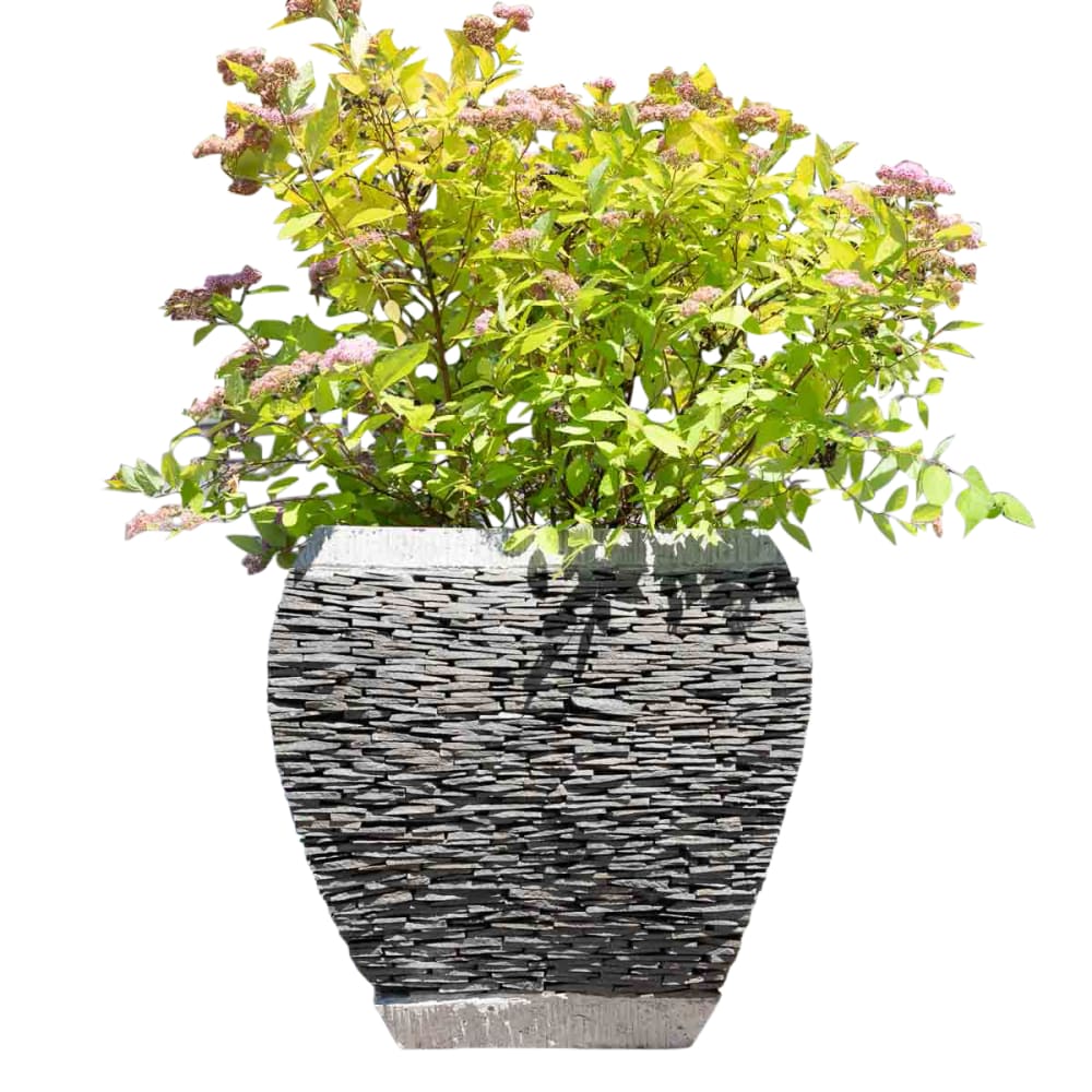 Pot bac jardinière galbé ardoise 50 cm jardin pierre naturelle
