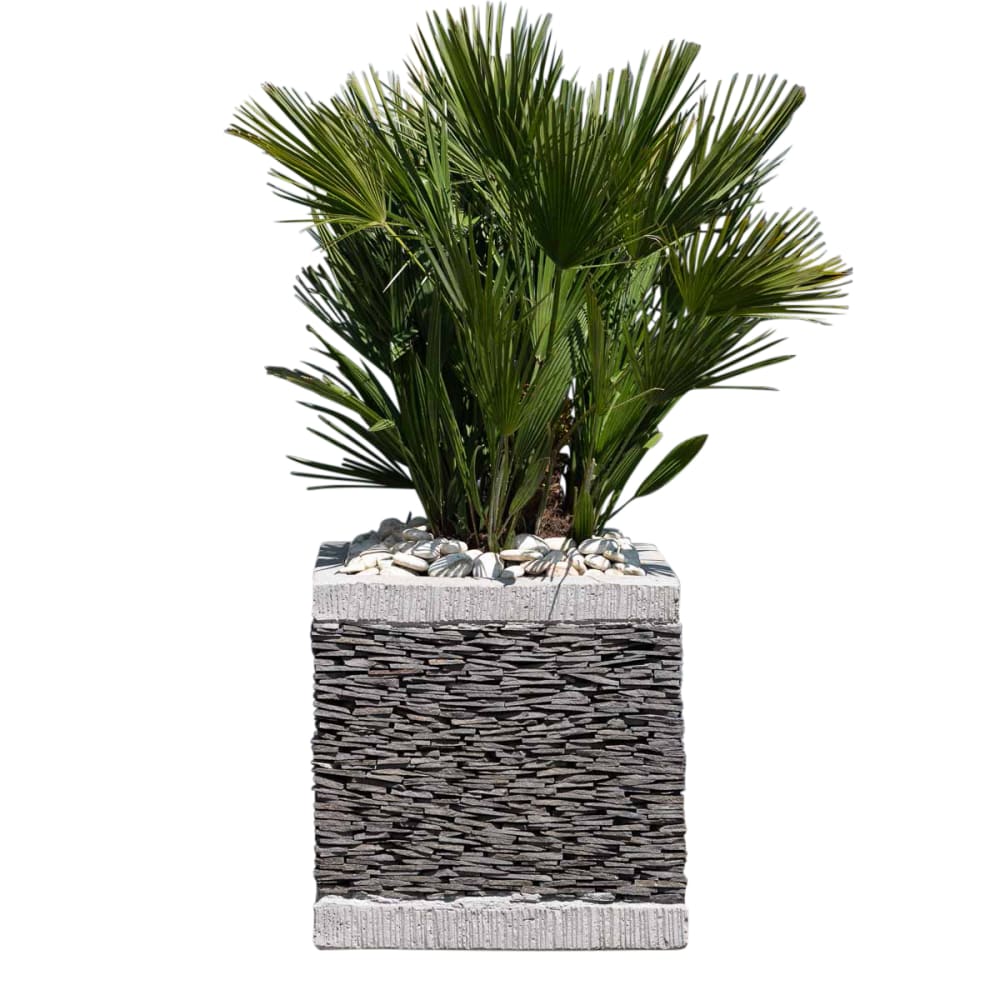 Pot bac jardinière carré ardoise 50cm jardin terrasse pierre naturelle