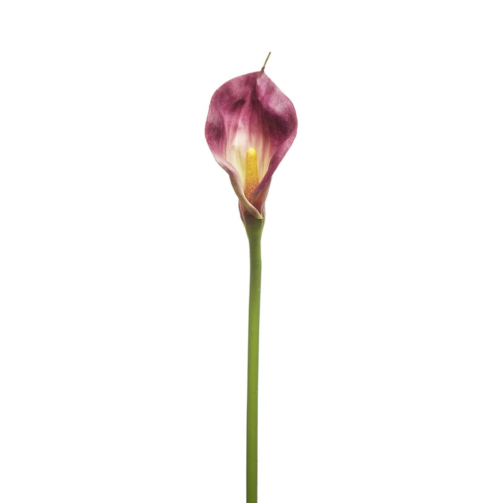 Tige d'arum artificielle violette h78 Tige d'arum artificielle violette h78